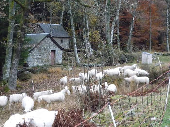 photo de la randonn�e