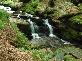 photo de la randonn�e