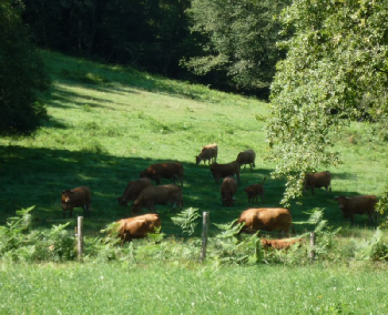 photo de la randonn�e