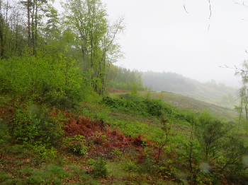 photo de la randonn�e