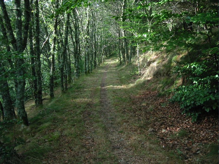 photo du diaporama