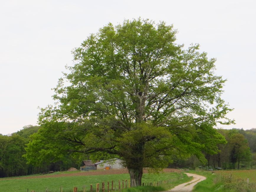photo du diaporama