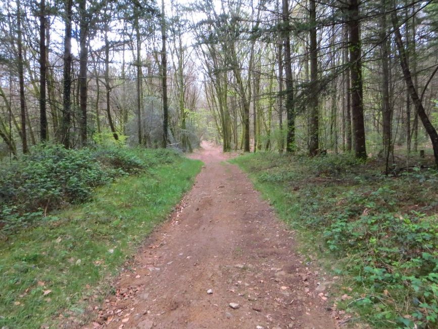 photo du diaporama