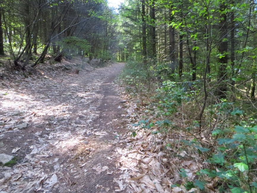 photo du diaporama
