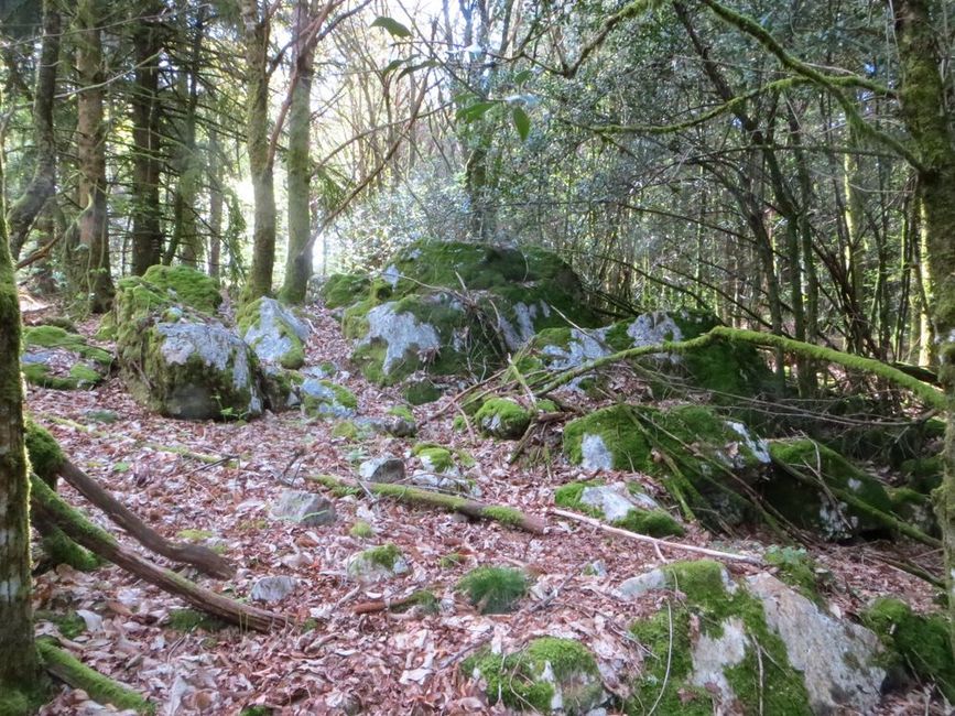photo du diaporama