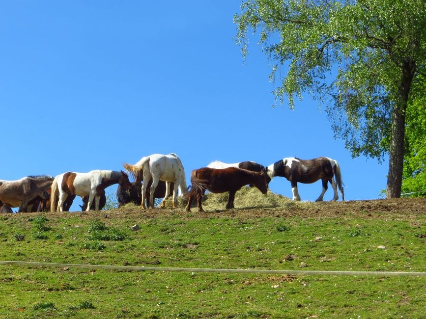 photo du diaporama