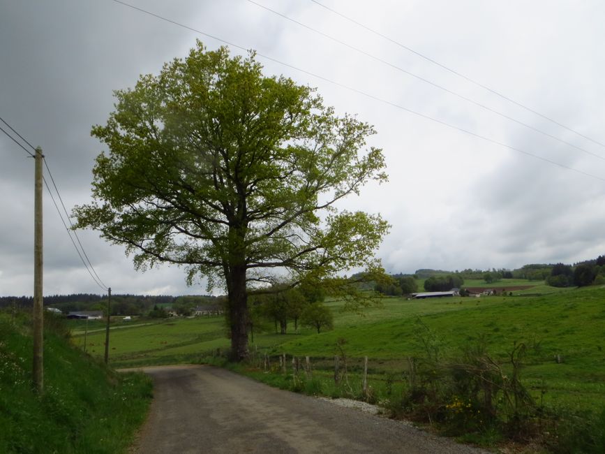 photo du diaporama