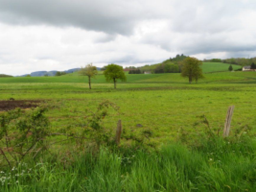 photo du diaporama