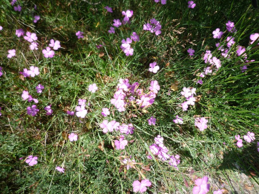photo du diaporama