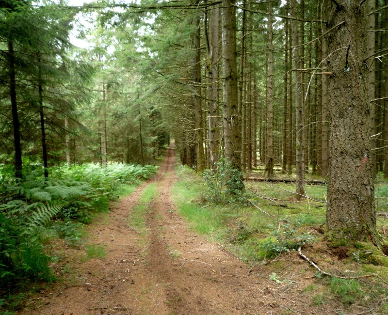 photo du diaporama