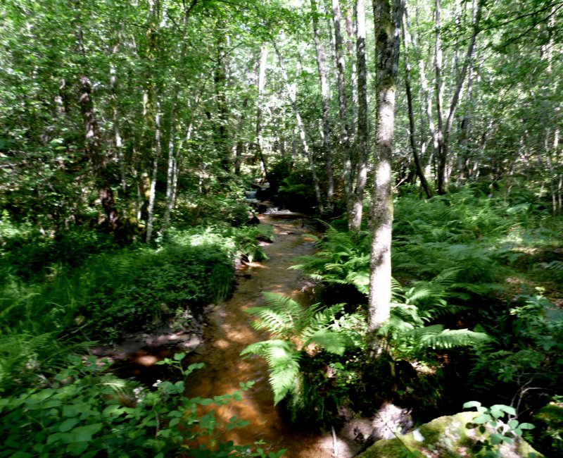 photo du diaporama
