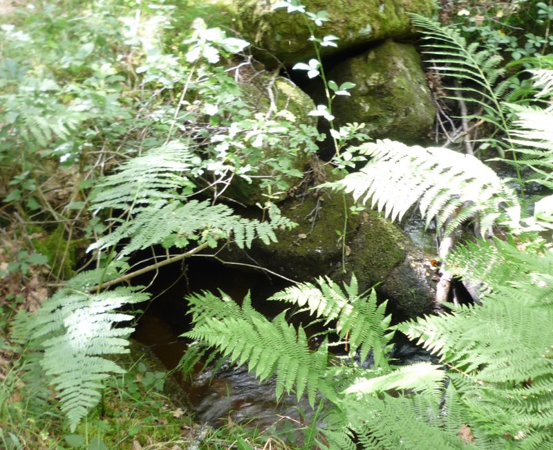 photo du diaporama