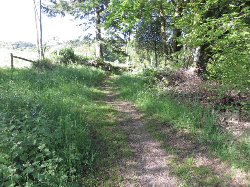photo du diaporama