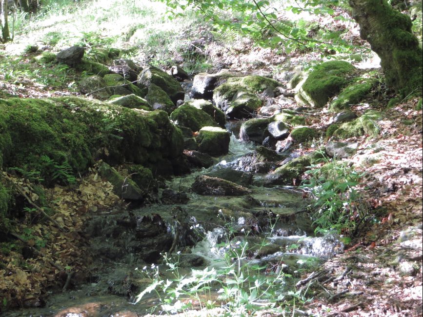 photo du diaporama