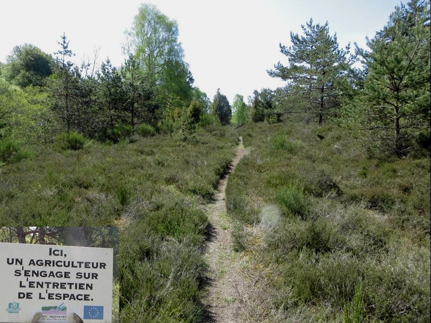 photo du diaporama