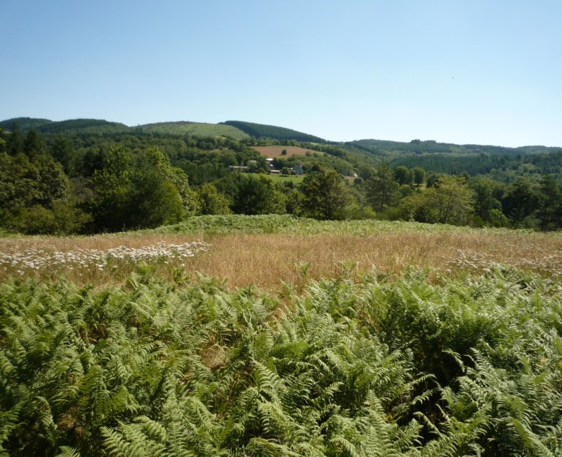 photo du diaporama