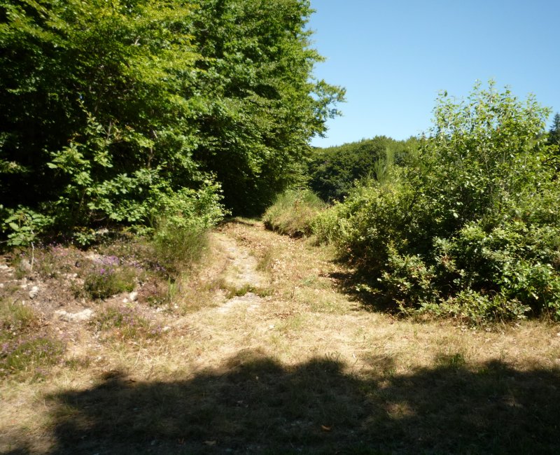 photo du diaporama