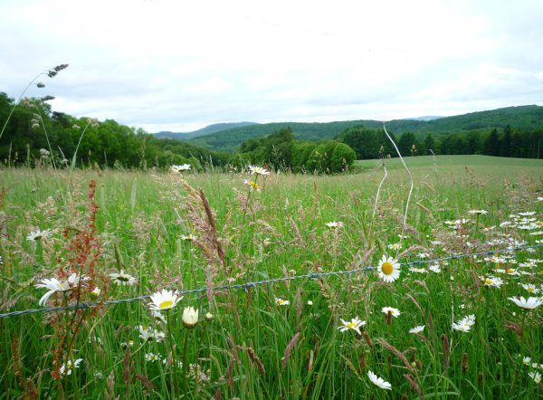 photo du diaporama