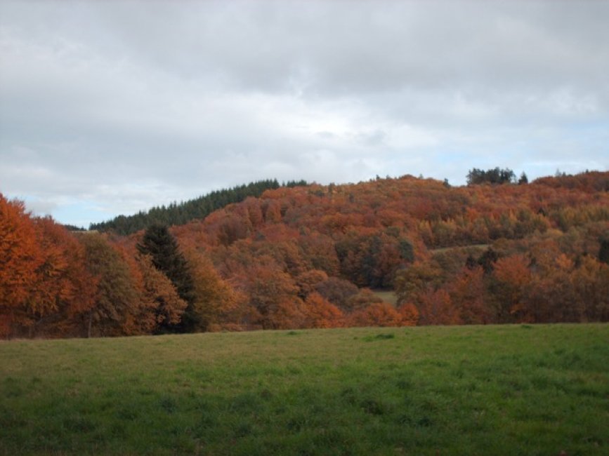 photo du diaporama