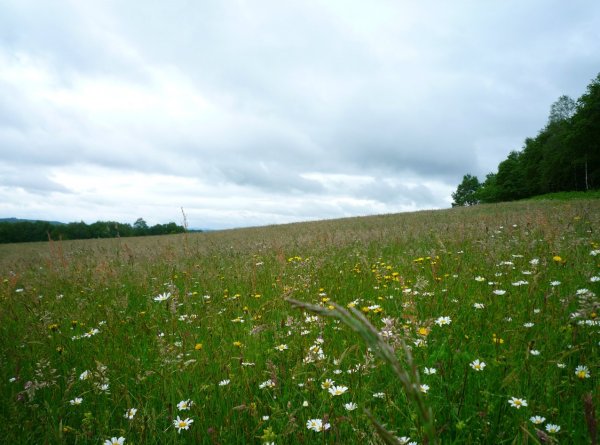 photo du diaporama