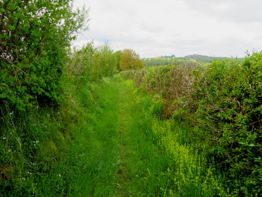photo du diaporama