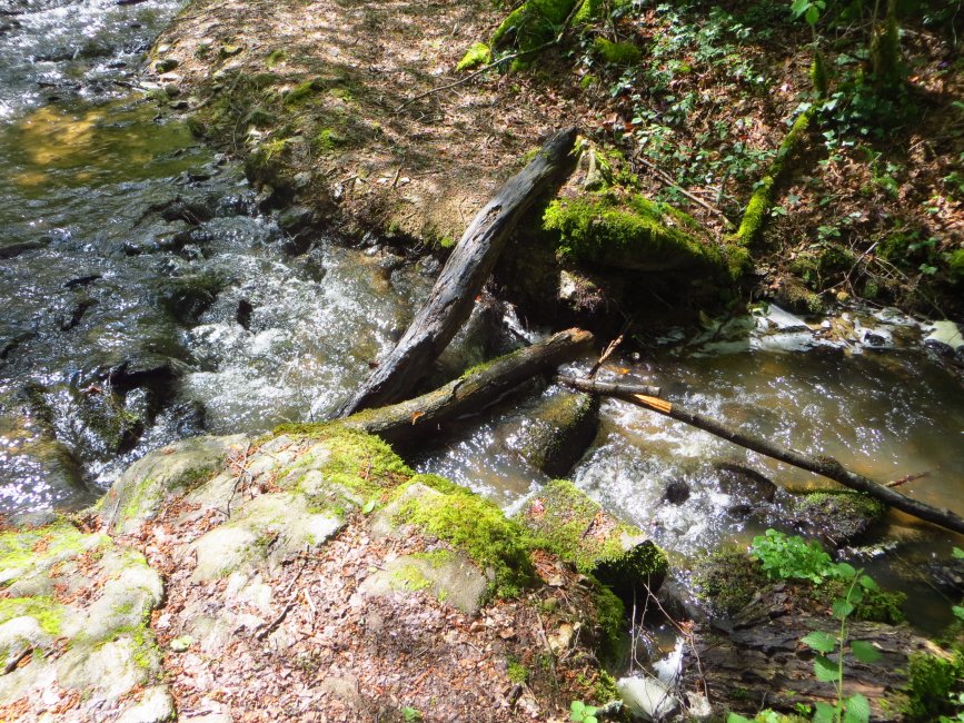 photo du diaporama