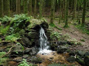 photo de la randonne