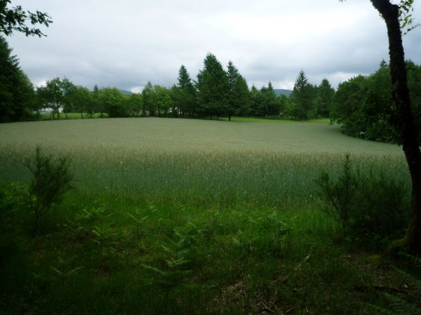 photo du diaporama