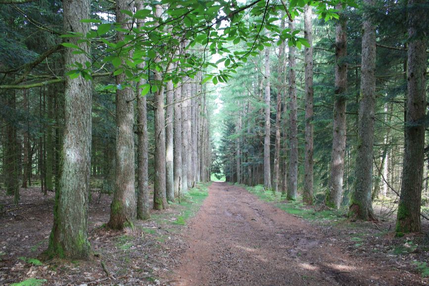 photo du diaporama