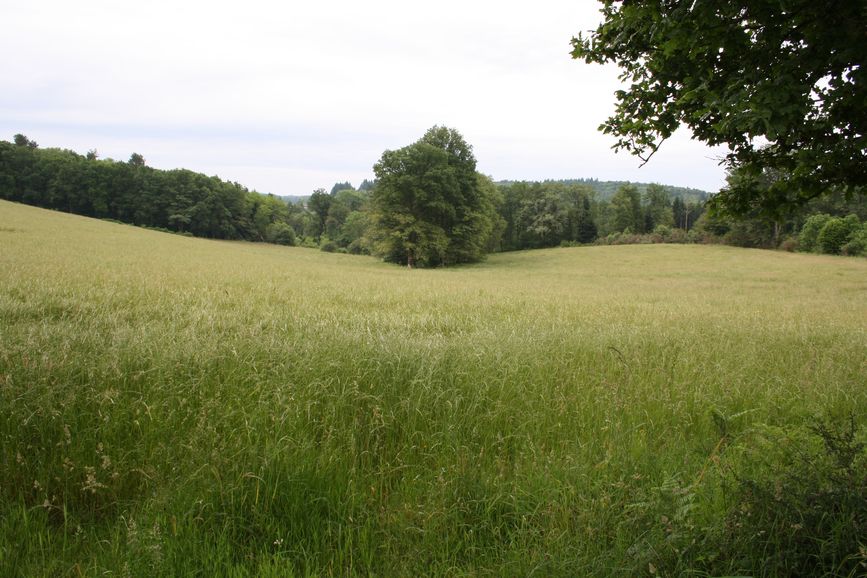 photo du diaporama