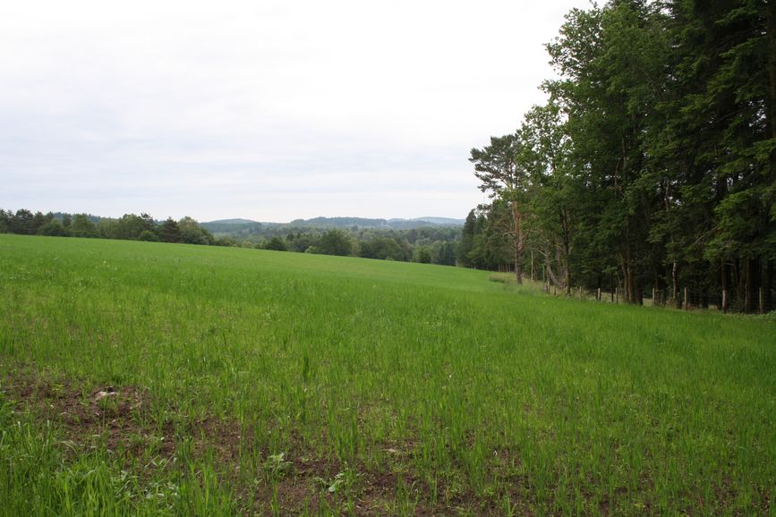 photo du diaporama