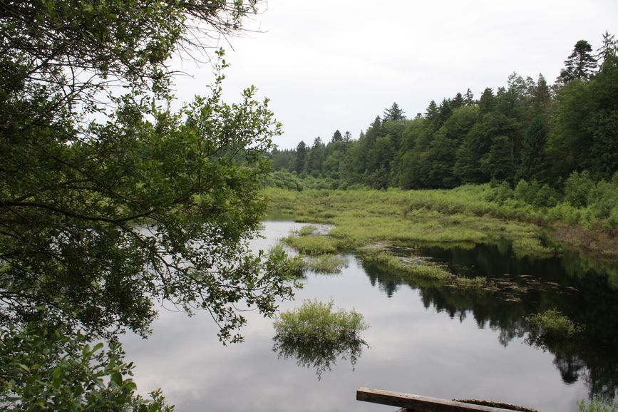 photo du diaporama