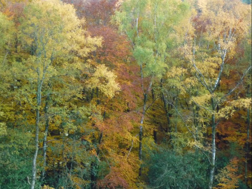 photo du diaporama