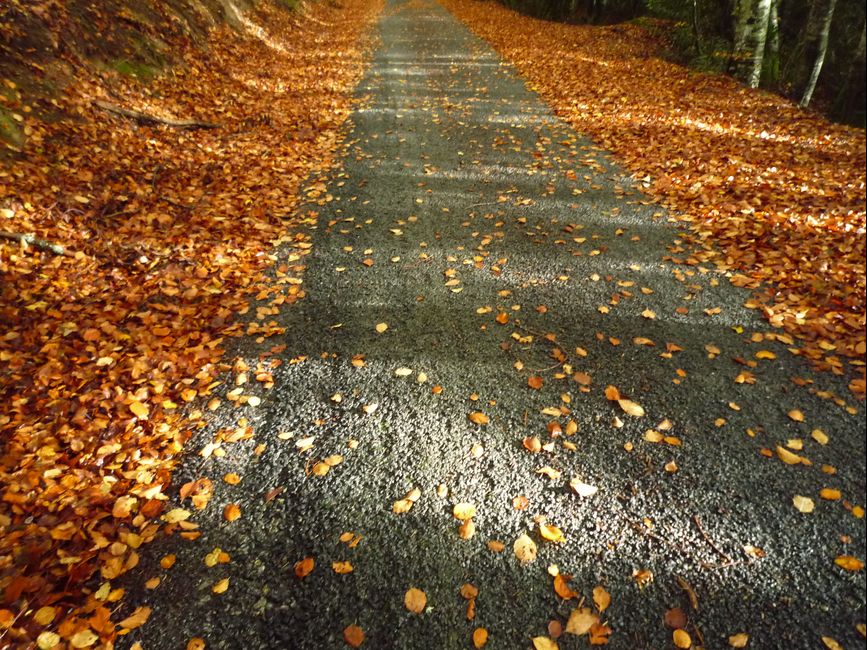 photo du diaporama