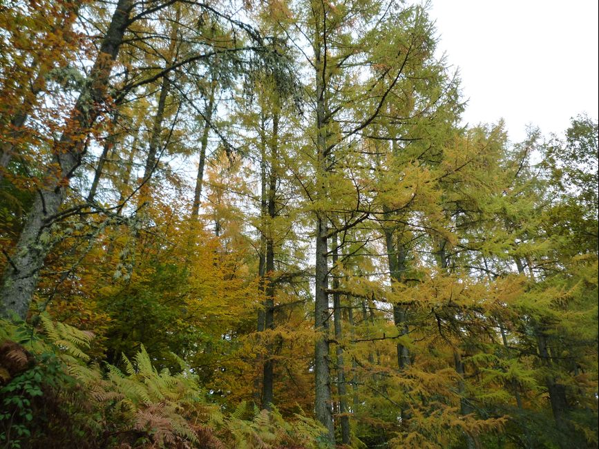 photo du diaporama