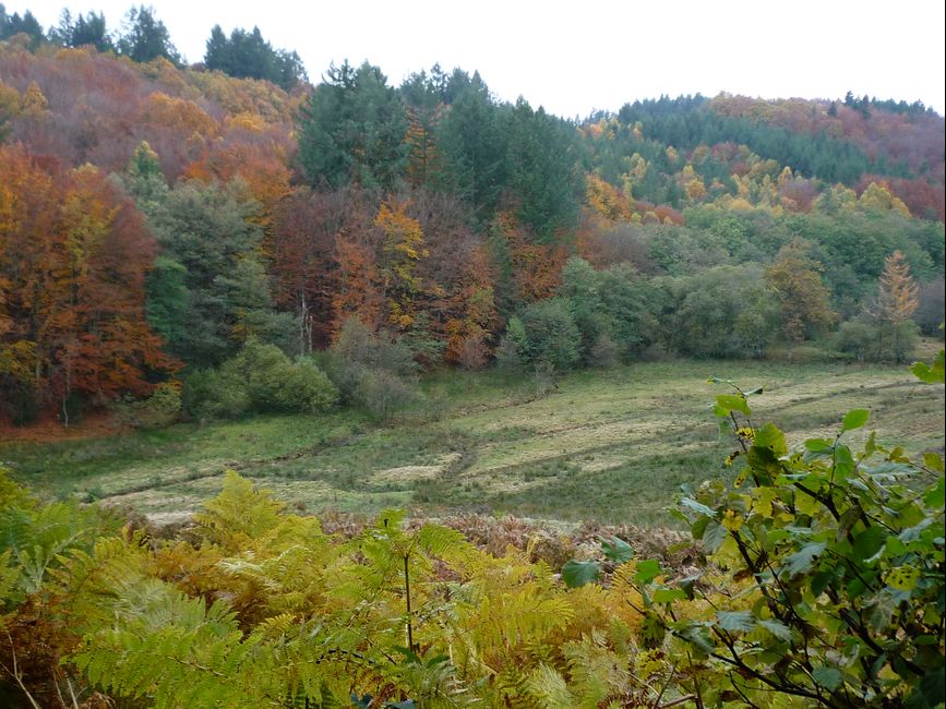 photo du diaporama