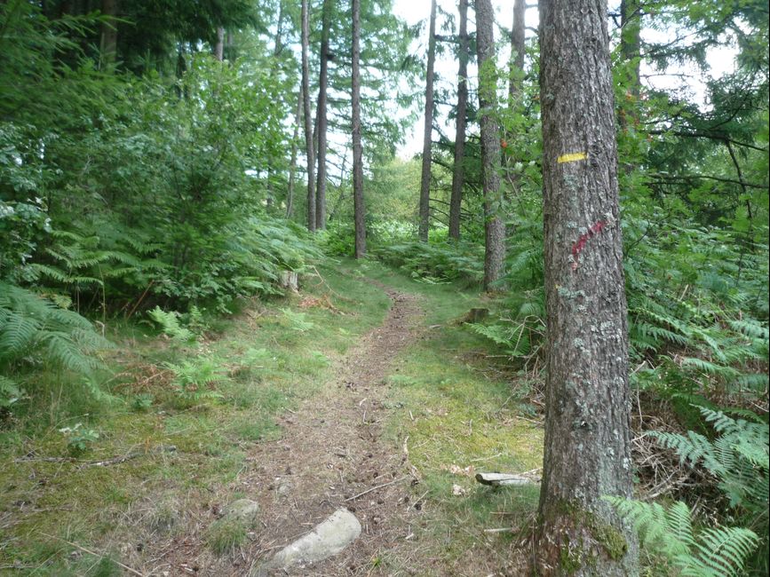 photo du diaporama