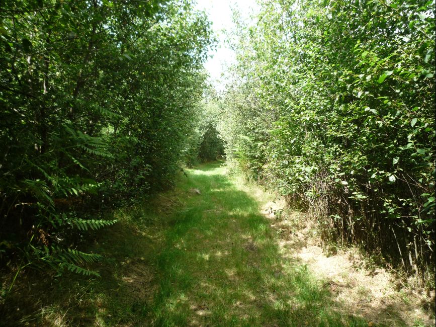 photo du diaporama
