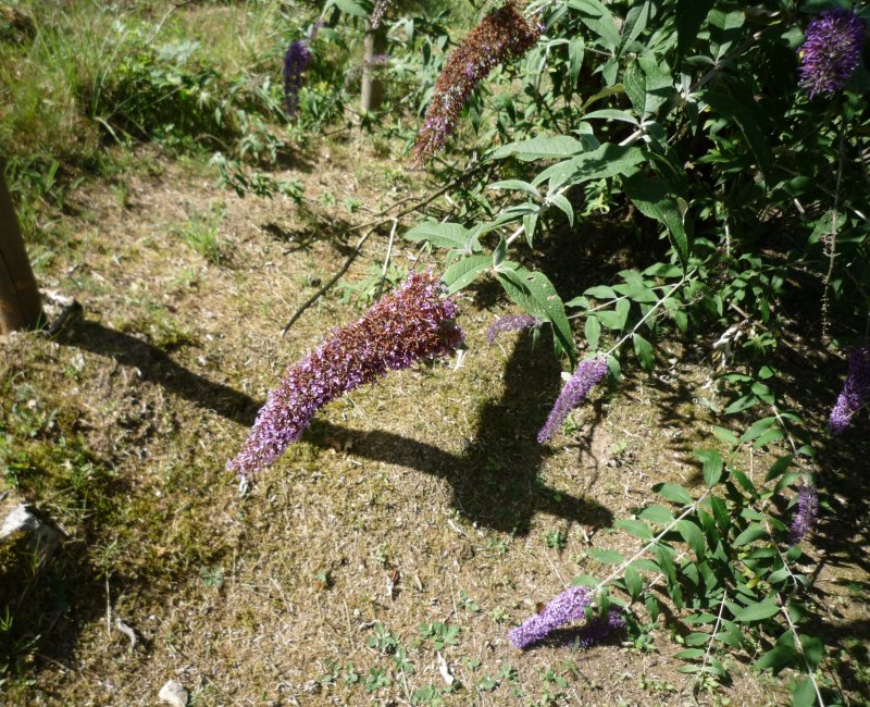 photo du diaporama