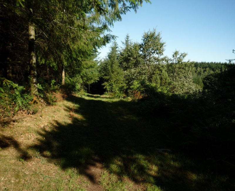 photo du diaporama
