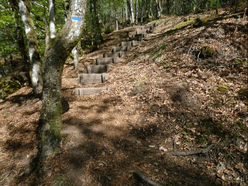 photo du diaporama