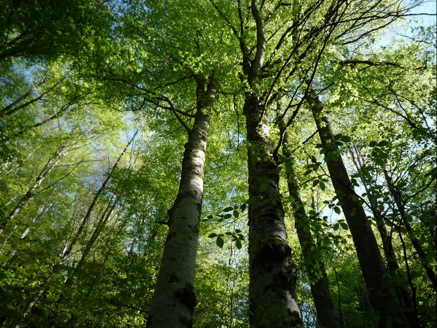 photo du diaporama