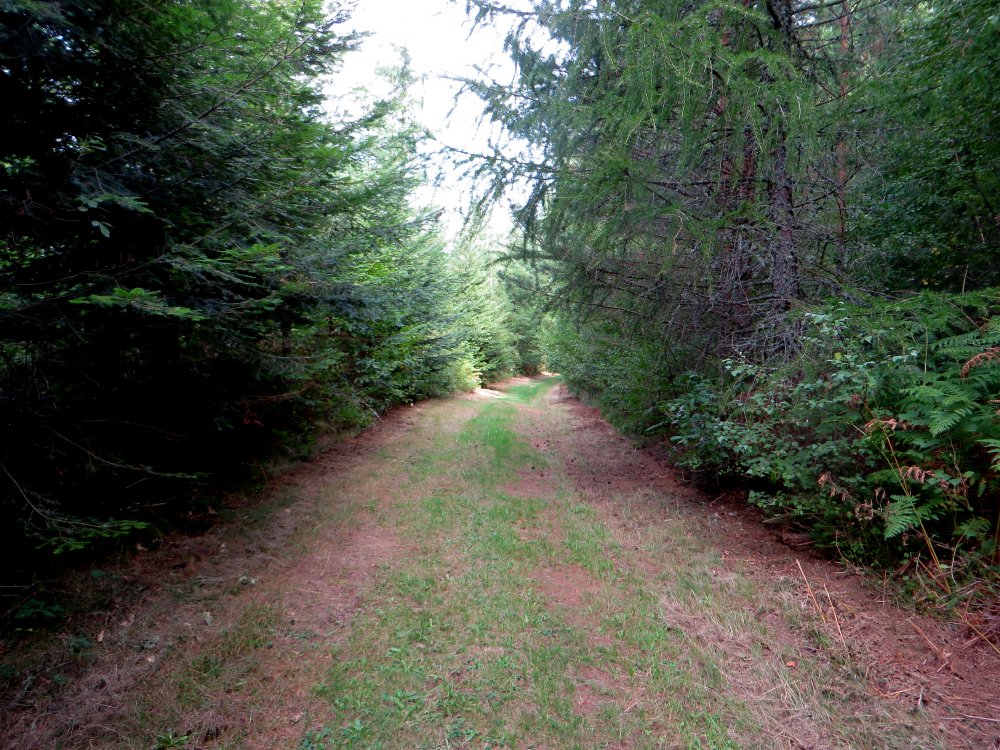 photo du diaporama