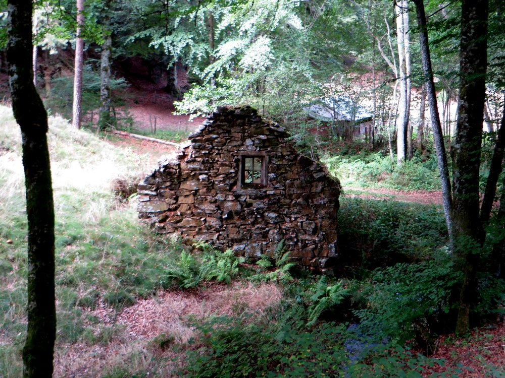 photo du diaporama