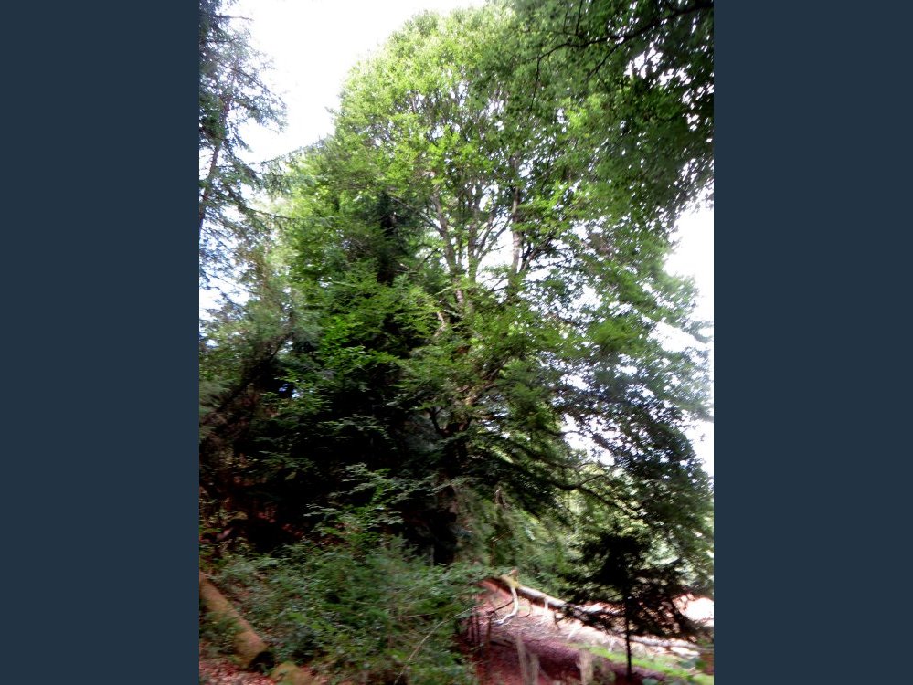 photo du diaporama