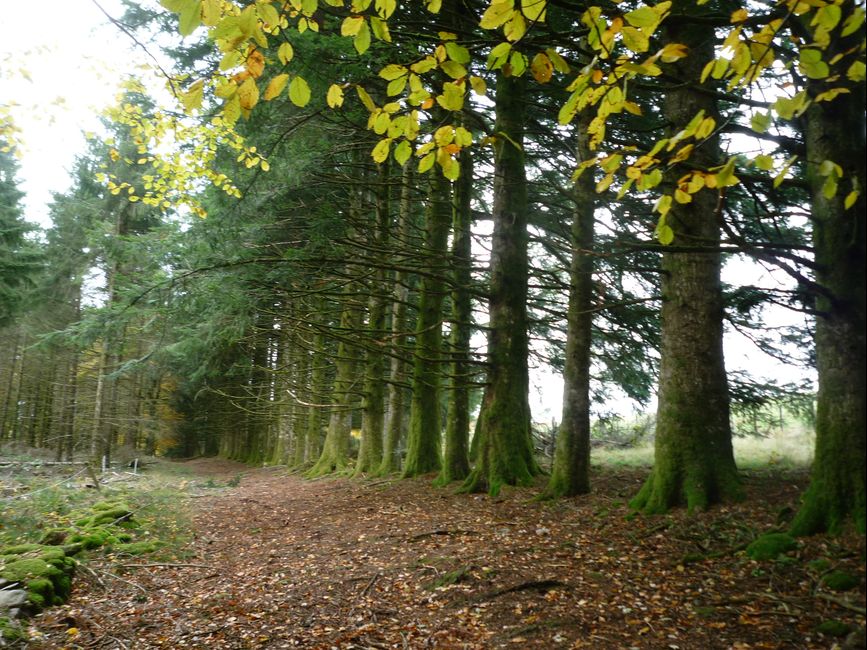 photo du diaporama