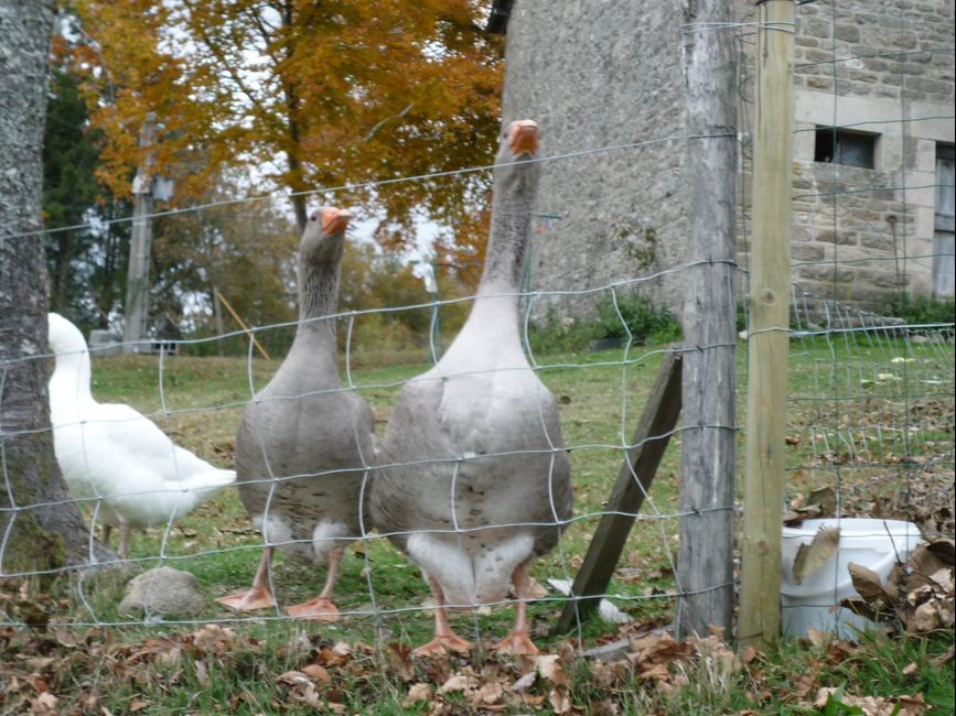 photo du diaporama
