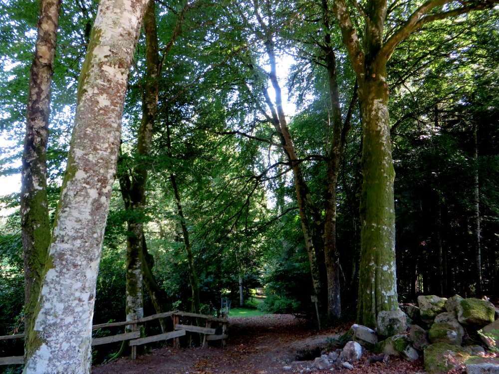 photo du diaporama