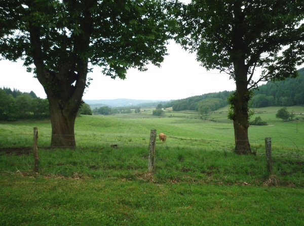 photo du diaporama