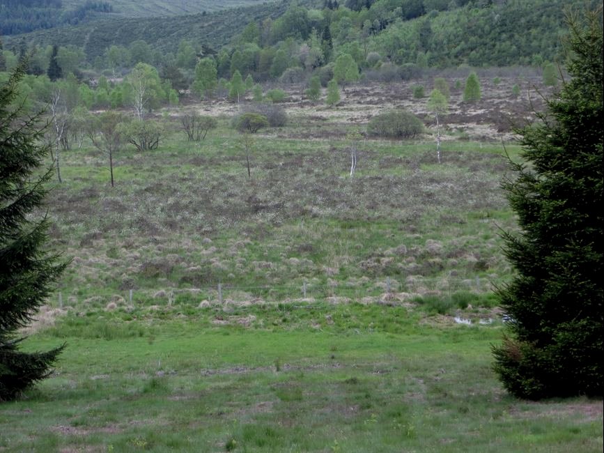 photo du diaporama